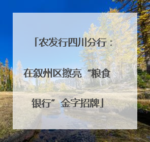 农发行四川分行：在叙州区擦亮“粮食银行”金字招牌